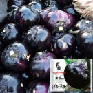 JMS Garden Noir: Explore The World Of Black Round Eggplant Seeds