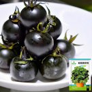 JMS Unique Black Gem: 5 Bags (100 Seeds / Bag) Of Dwarf Bonsai Black Pearl Tomatoes
