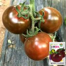 JMS Cultivate Curiosity: 5 Bags (100 Seeds / Bag) Of 'Daheiren' Black Tomatoes