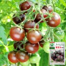 JMS Garden Jewels: 5 Bags (100 Seeds / Bag) Of 'Purple Pearl' Cherry Tomatoes