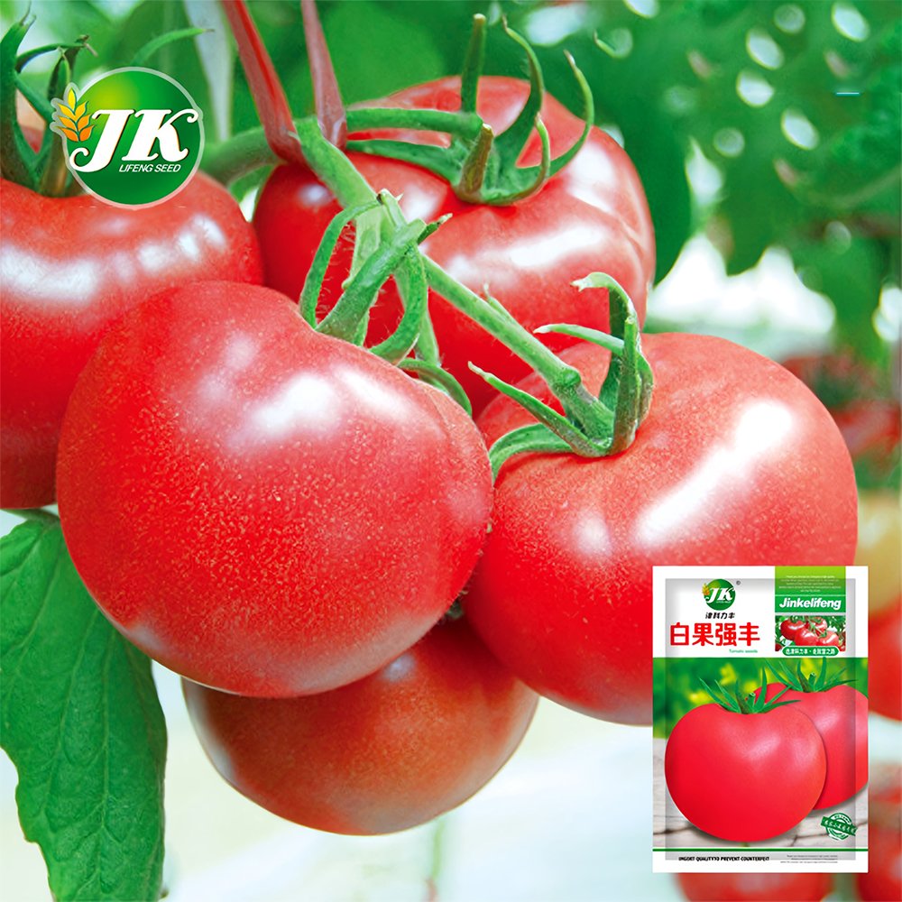 JMS Rediscover Tradition: 5 Bags (200 Seeds / Bag) Of 'Vintage Elegance' Red-Pink Tomatoes