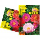 JMS 5 Bags (500 Seeds / Bag) Of Moss Rose Seeds, Mixed Portulaca Grandiflora