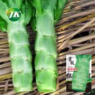 JMS 5 Bags (3000 Seeds / Bag) Green Asparagus Lettuce Seeds