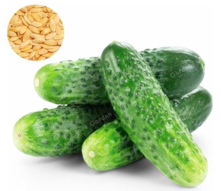 JMS Cucumber Seed Delicious Mini Fruit Cucumber