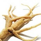 JMS 50Pcs Very Popular Panax Quinquefolius Herbal Much Loved American Ginseng Perennial Herb Occiden