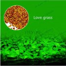 JMS 300Pcs Aquarium Aquatic Water Grass Plant Glossostigma Hemianthus Callitrichoides Bonsai Fish Ta
