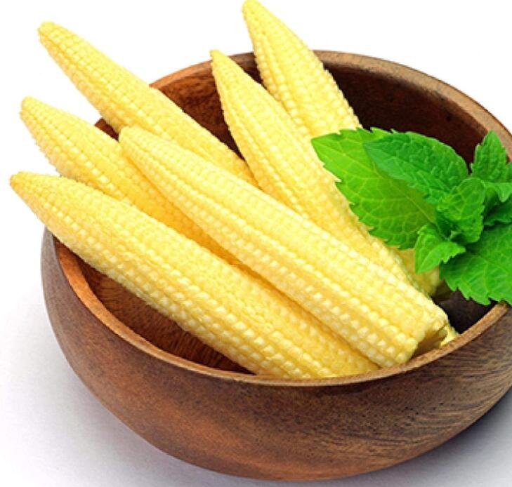 JMS 250 Pcs Mini Baby Sweet Corn Seeds Vegetable Poporn