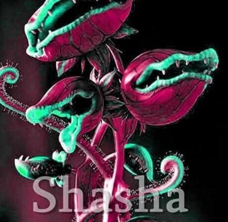 JMS 300 Pcs Garden Potted Flytrap Seed Dionaea Muscipula Giant Clip Venus Flytrap Terrace Garden Car