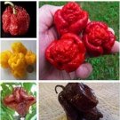 JMS Juego De 5000 Piezas Mixtas Al Azar Carolina Reaper - (Color: Carolina Reaper 1)