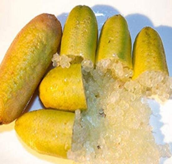 JMS 20 Pcs Novel Finger Limes Citrus Pomegranate Bonsai Delicious Sweet Fruit Bonsai For Home Garden