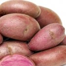 JMS 100 Russian Banana Fingerling Potato Bonsa Organic Seed Vegetables Fruit Sweet Healthy Kitchen C