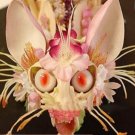 JMS 100 Japanese Orchid Seeds, Monkey Face Pattern