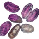 JMS Potato Seed Rare China High-Nutrition Purple Potato Seeds