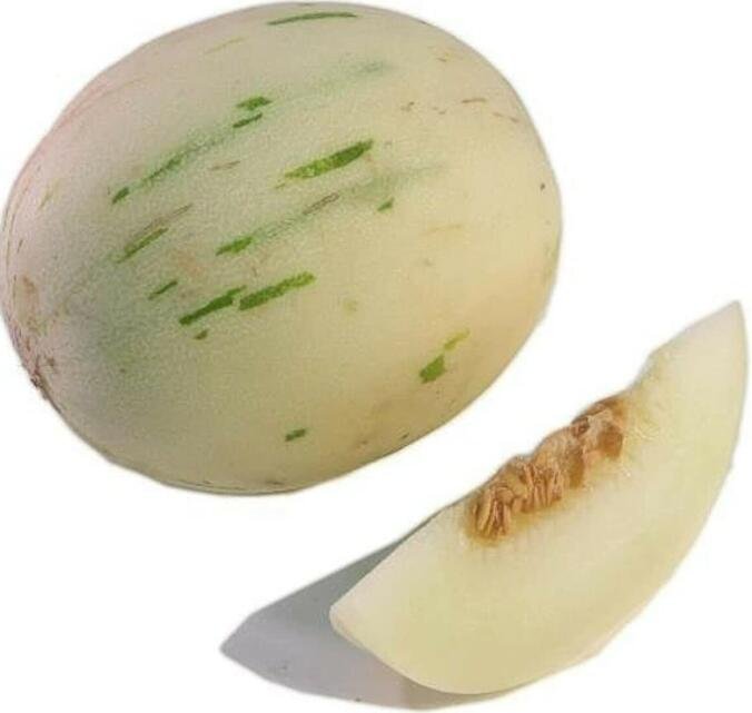 JMS 100 Seeds Snow Leopard Melon Seeds Gaya
