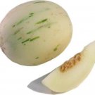 JMS 100 Seeds Snow Leopard Melon Seeds Gaya