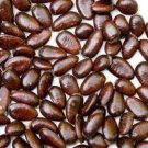 JMS 15Pcs Custard Apple Seeds Srikaya Fruits
