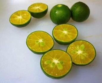 JMS New Calamansi Calamondin Lime 20 Seeds Citrus Tangerine Fruit Citrus Reticulata