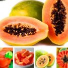 JMS 100% True Papaya Carica Papaya Seeds