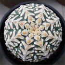 JMS 10Pcs JMS Seeds Astrophytum Asterias Superkabuto Rare Cactus