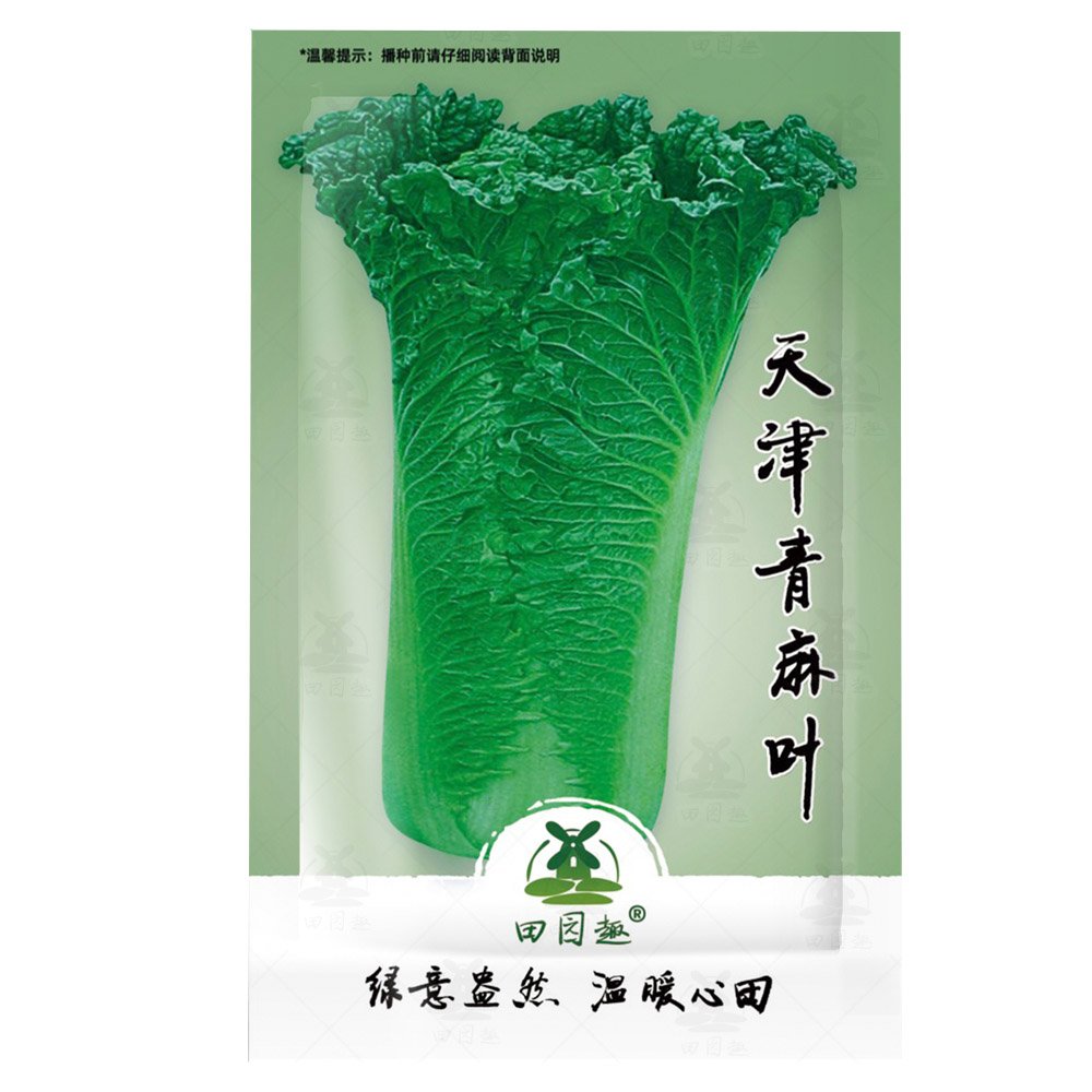 JMS 1000Pcs Cabbage Seed Garden Vegetable Ruffle Green Curly Vegetable