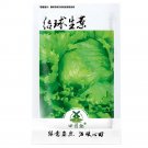 JMS 1000Pcs Iceberg Lettuce Head Seeds, Garden Salads, Non-Gmo