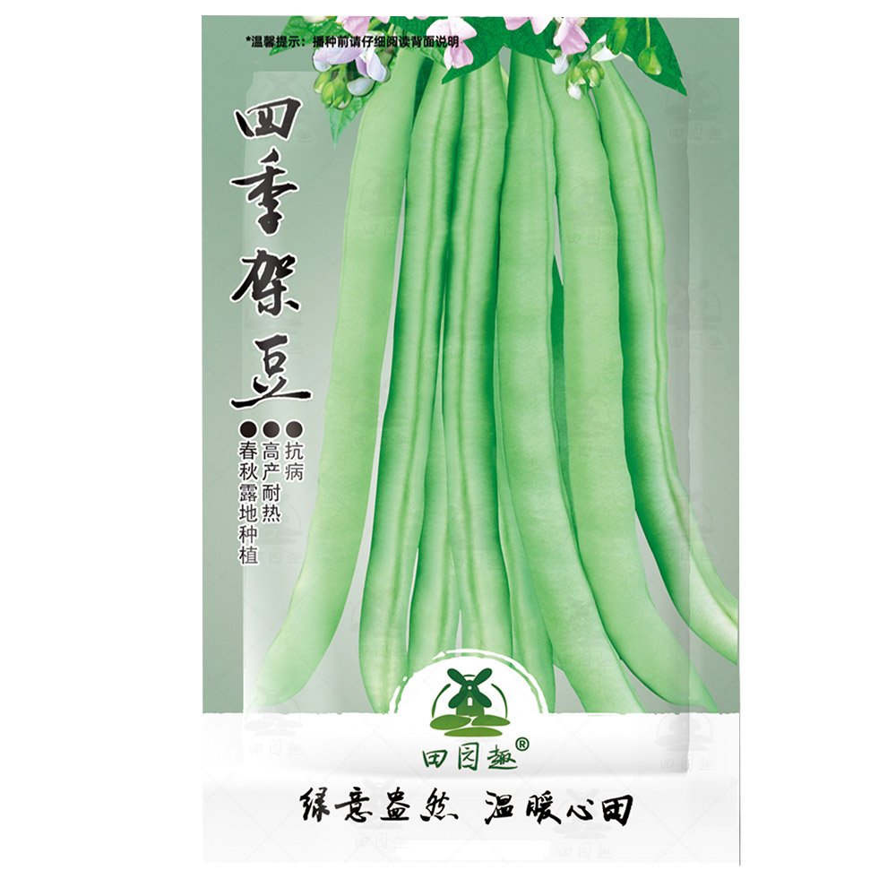 JMS 30Pcs Top Crop Green Bean Seeds | Heirloom Stringless Tender Vegetable Seed JMS