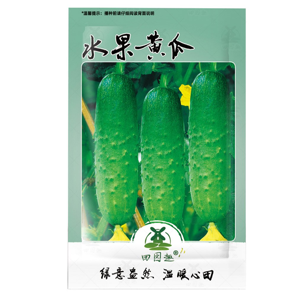 JMS 80Pcs Fruit Cucumber Seeds Heirloom Vegetable Garden JMS Seed
