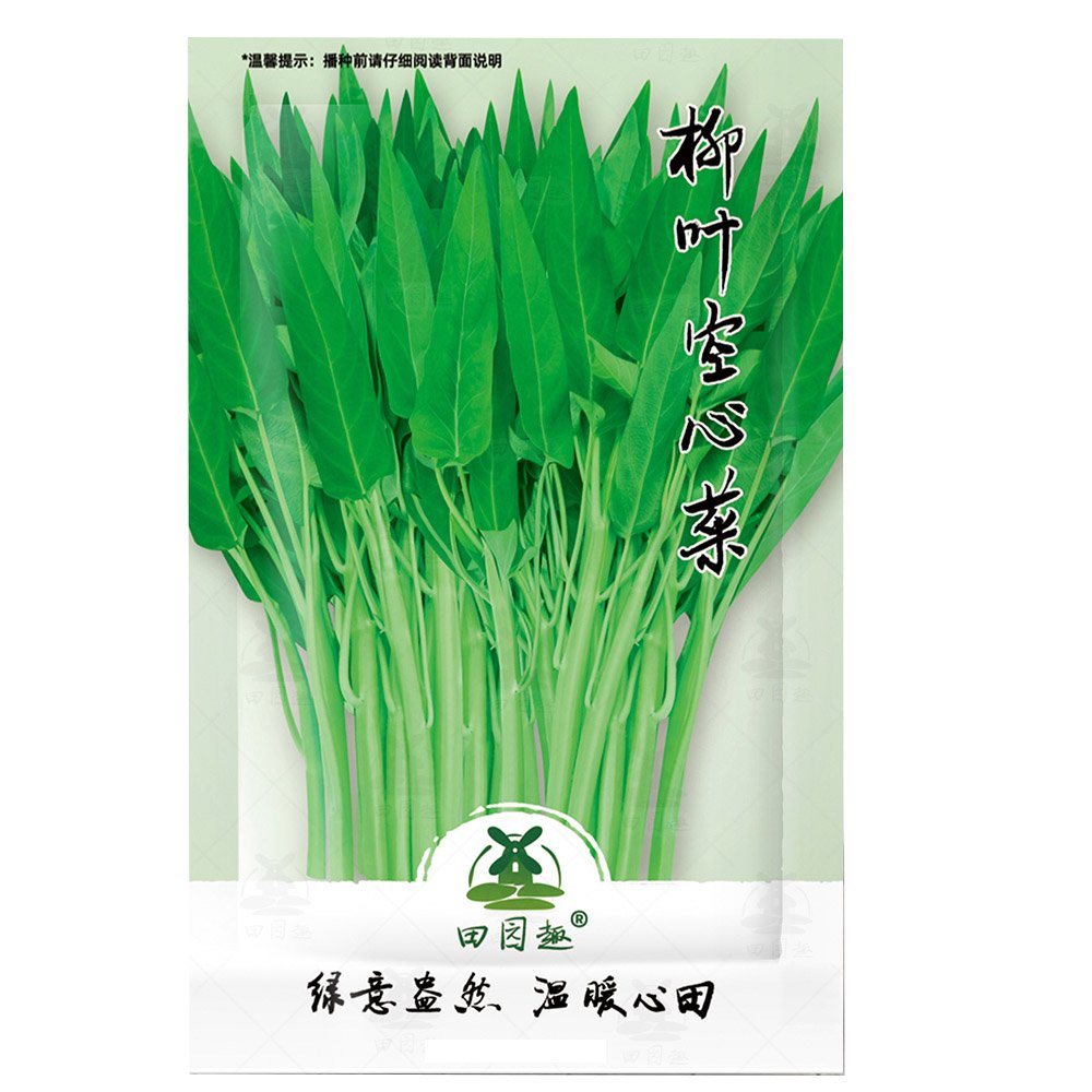 JMS 100Pcs Water Spinach Seeds  Water Convolvulus
