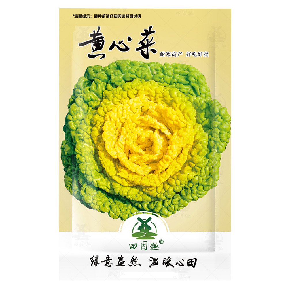 JMS 4000Pcs Yellow Heart Pak Choi Seeds Chinese Cabbage Bokchoy Napa Cabbage Siu Bok Choy