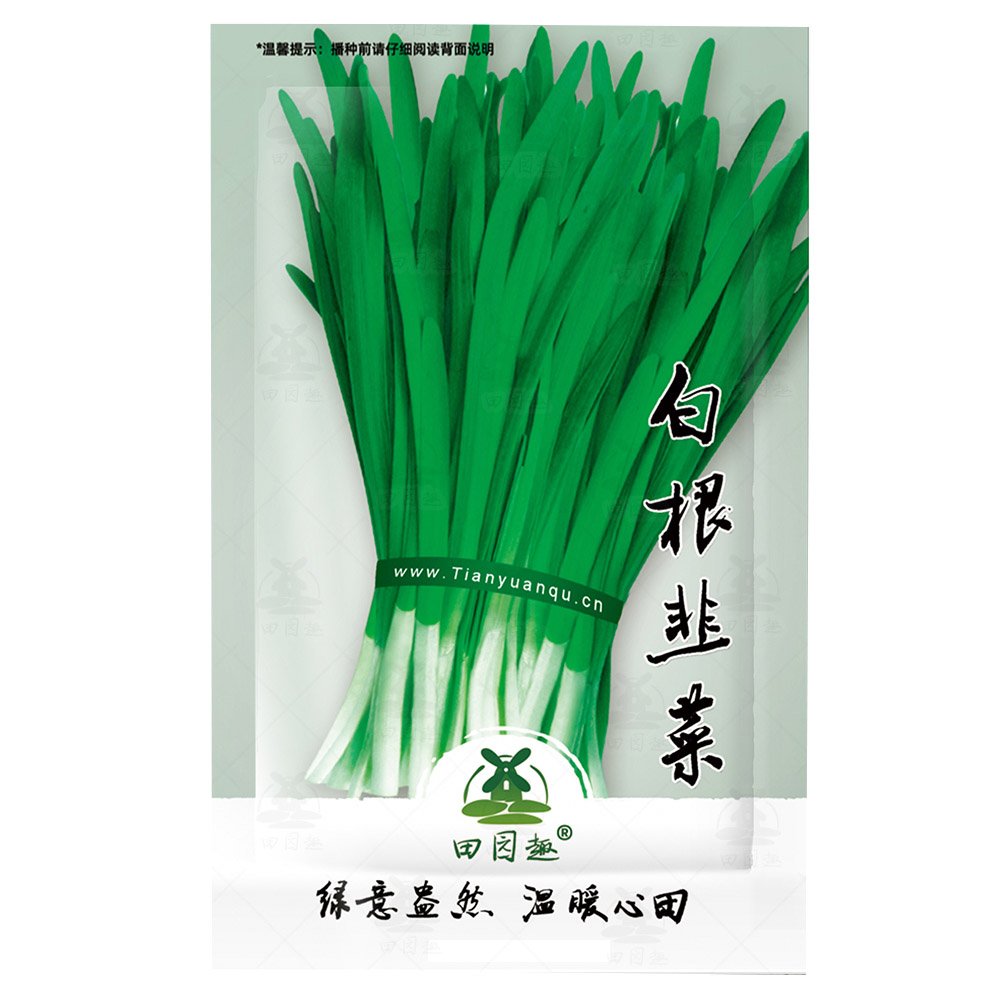 JMS 1000Pcs Chinese Garlic Chives Seeds | Usa Garden Asian Herb Green Onion Leek Seed