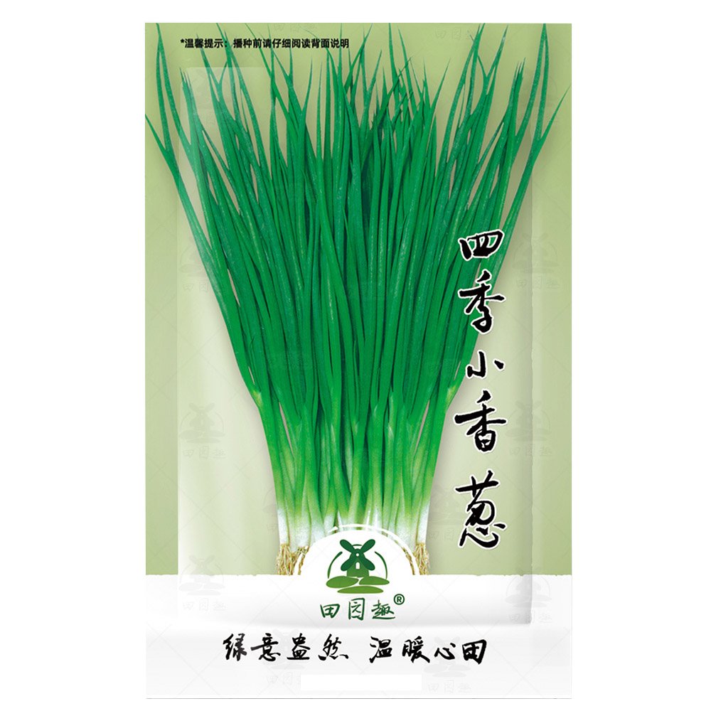 JMS 1500Pcs Heirloom Onion Chives Seeds | Common Chives Non-Gmo JMS Herb Garden Seeds