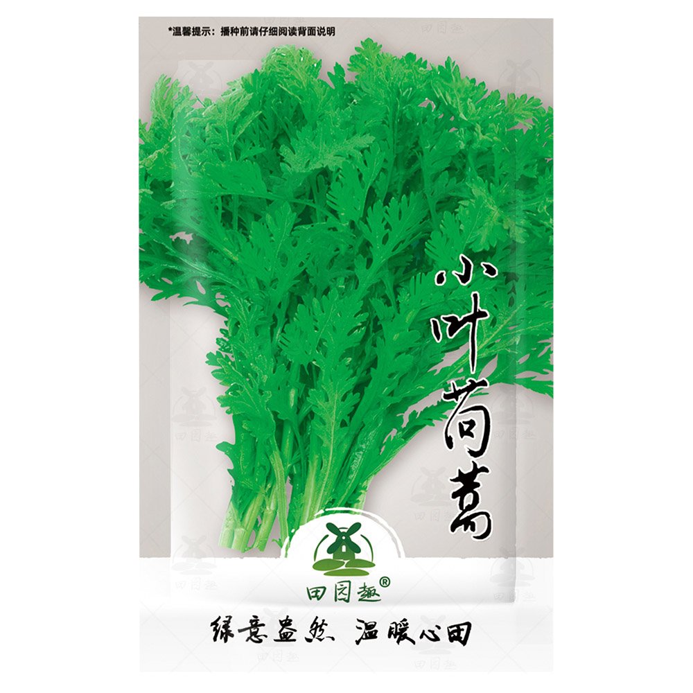 JMS 2000Pcs Garland Chrysanthemum Seeds Tong Ho Edible Chrysanthemum Coronarium Asia Veg