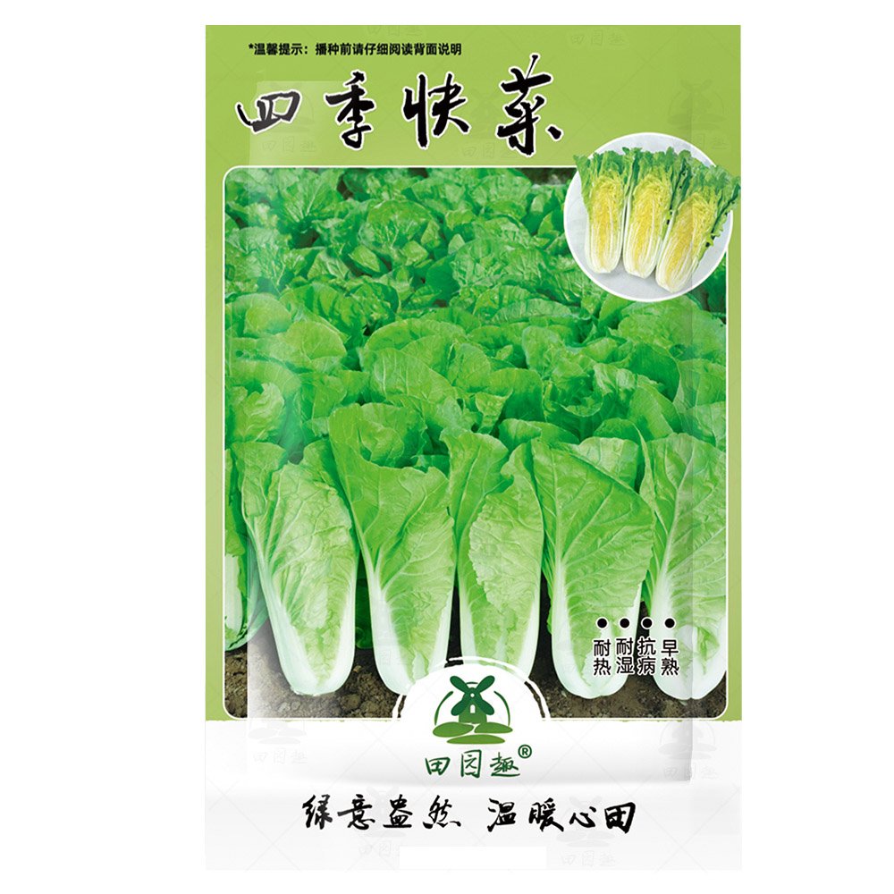 JMS 800Pcs Chinese Cabbage (Buk Choy-White Stem) Seeds (Bnisp) - Quick Growing