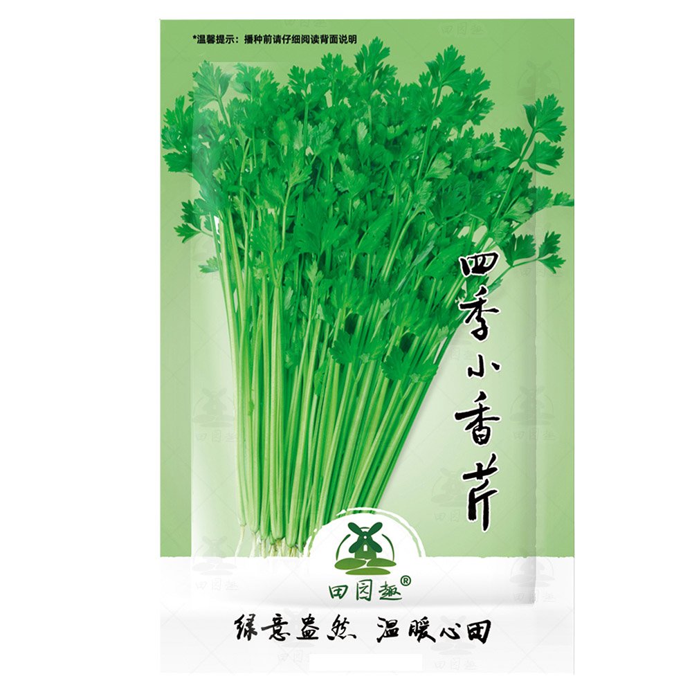 JMS 2000Pcs Chinese Celery Seeds Khuenchai Kan-Tsai Kin-Tsai Kunchoy Qincai Kinchay