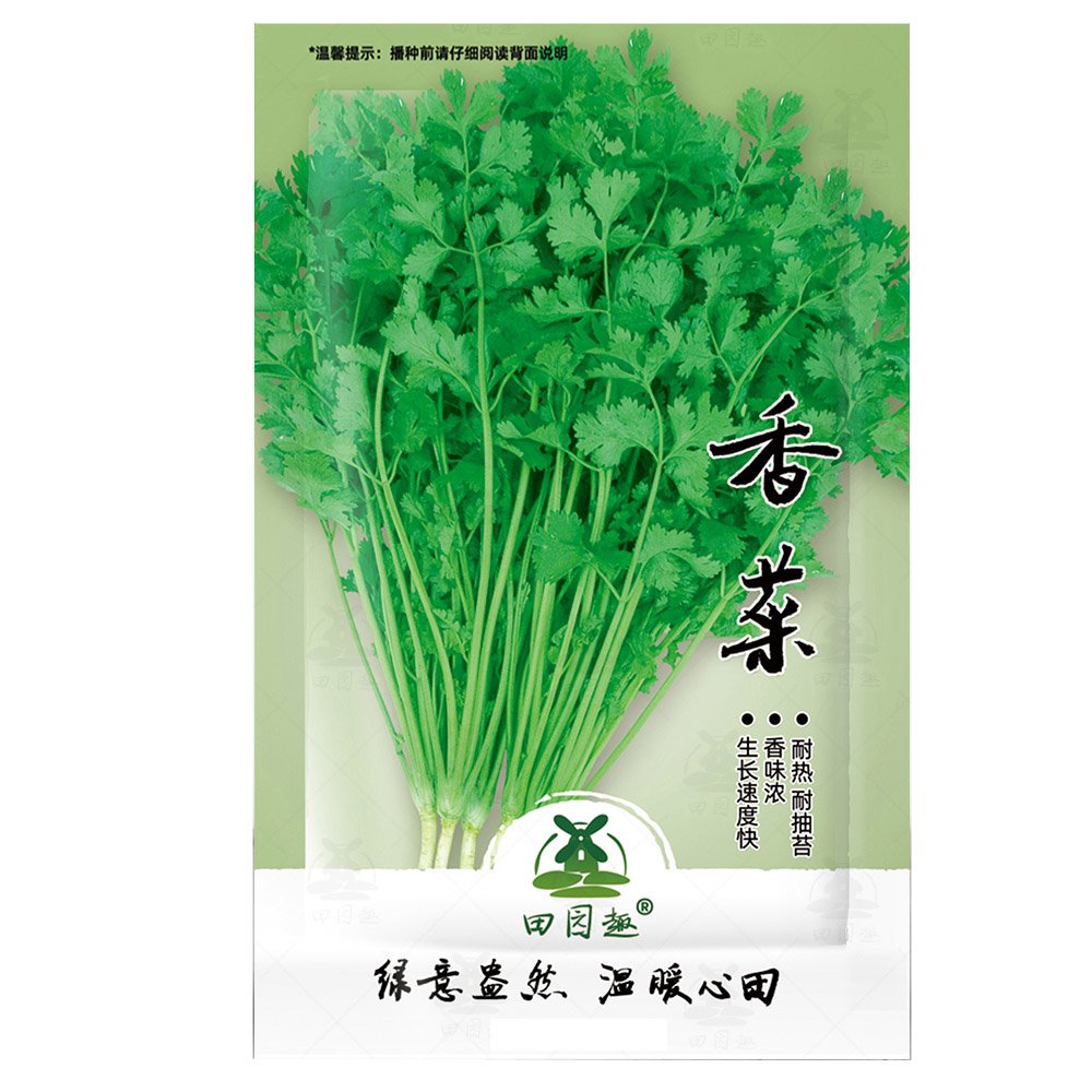 JMS 1100Pcs Cilantro/Coriander Leaves Chinese Parsley Mexican Parsley
