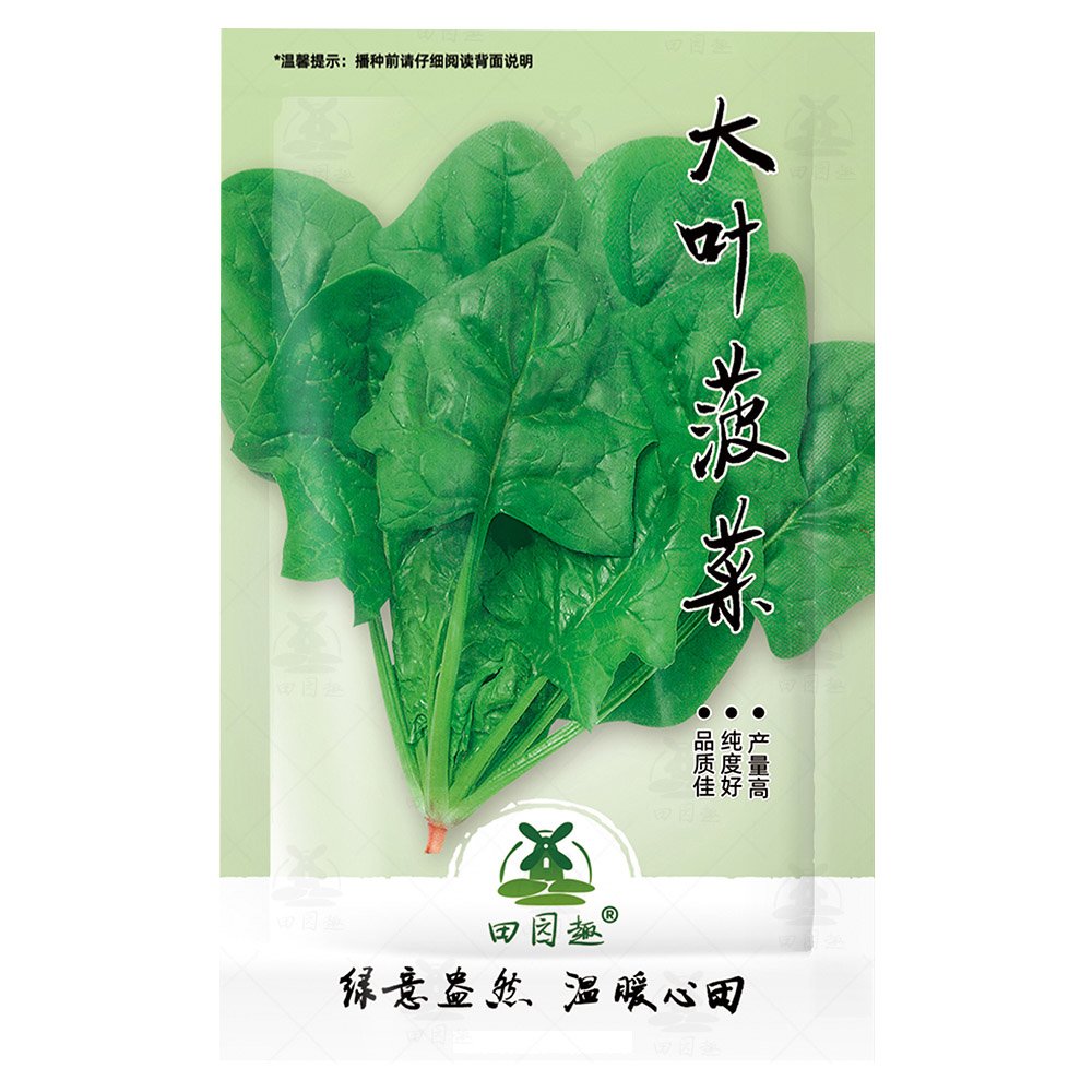 JMS 600Pcs Big Round Leaf Spinach Seeds Giant Noble Spinach Persia Vegetable