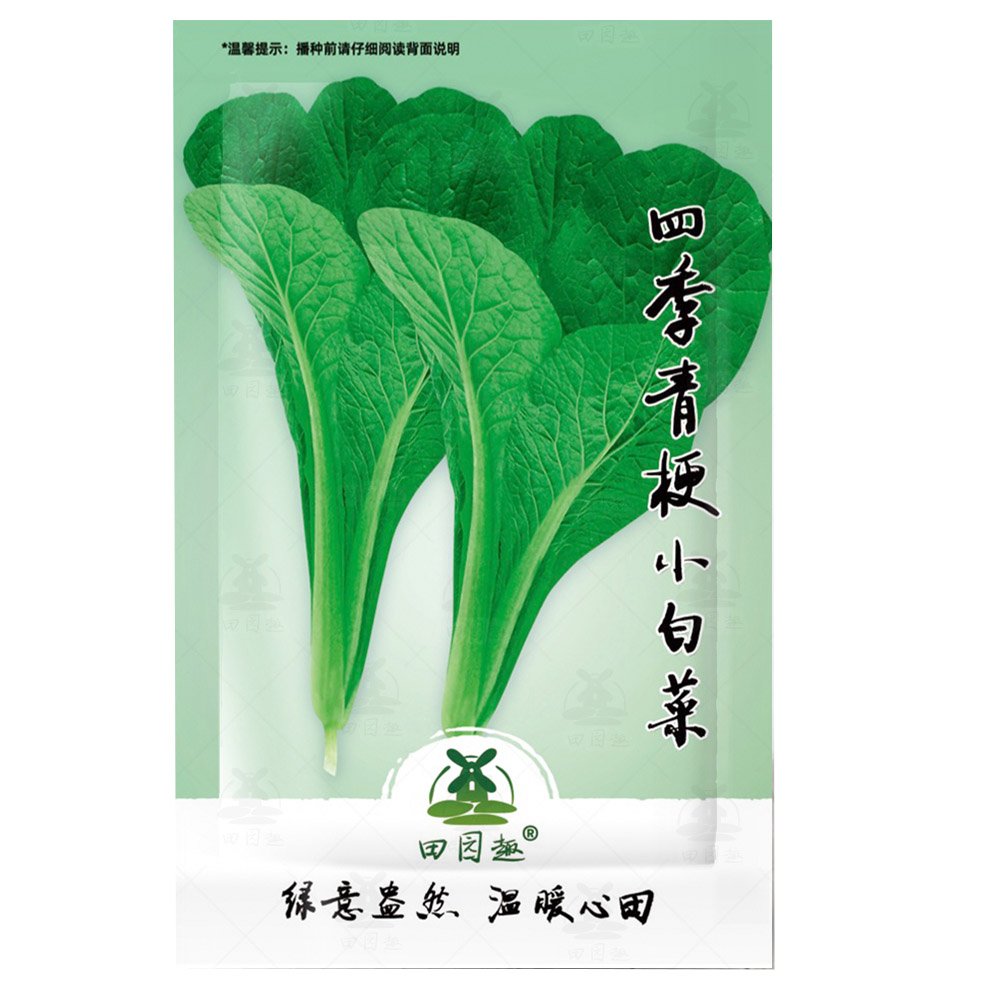 JMS 2000Pcs Choi Seeds Green Stem Chinese Cabbage Bok Choy Four Season Vegetable