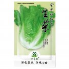 JMS 2000Pcs Lettuce Seeds  Parris Island Cos  Popular Garden Vegetable