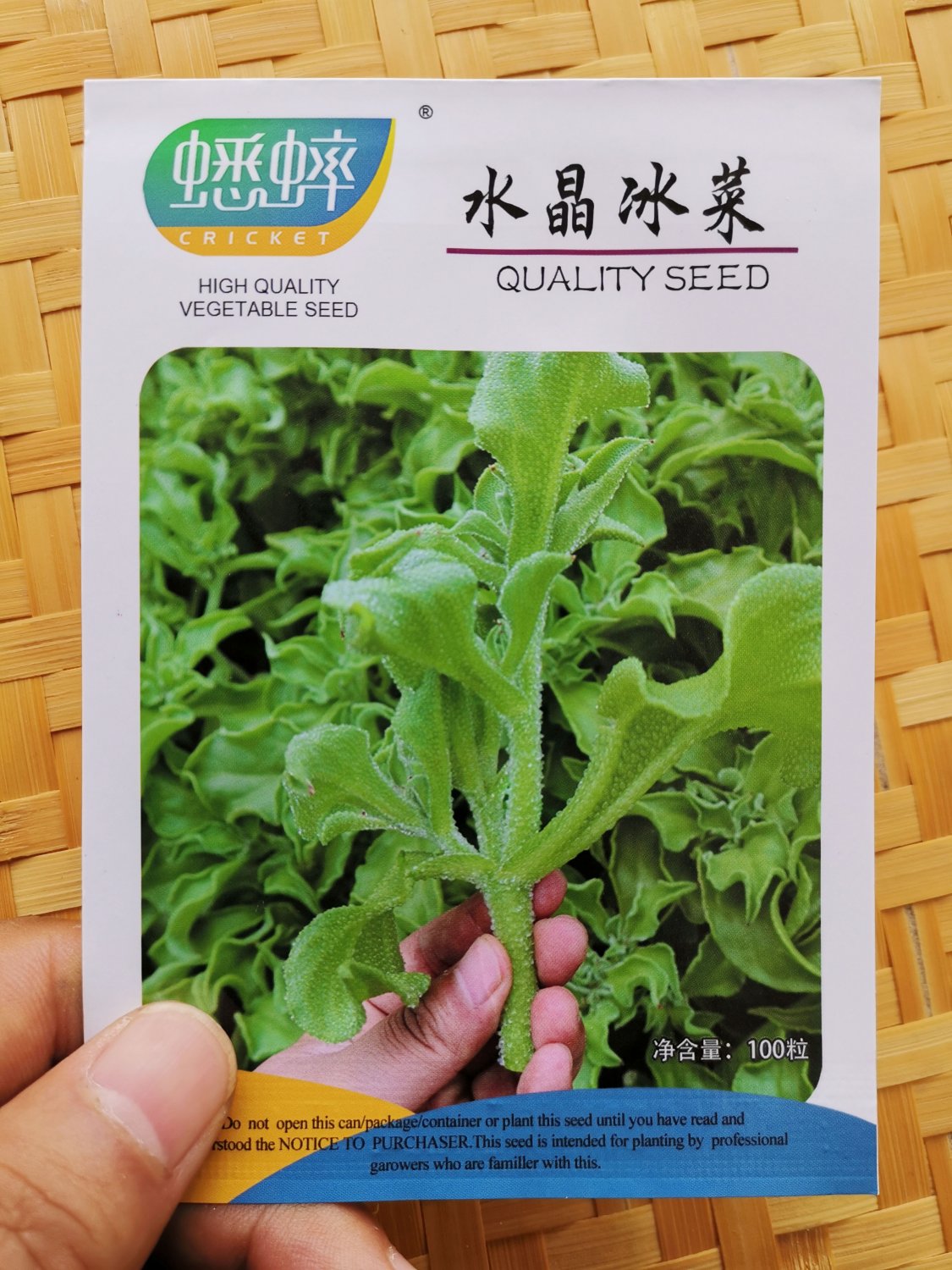 JMS 100Pcs / 3000Pcs Ice Plant Seeds Edible Plant Mesembryanthemum Crystallinum Vegetables