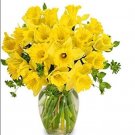 JMS 100Pcs Narcissus Flower Seeds - Bright Yellow Flowers