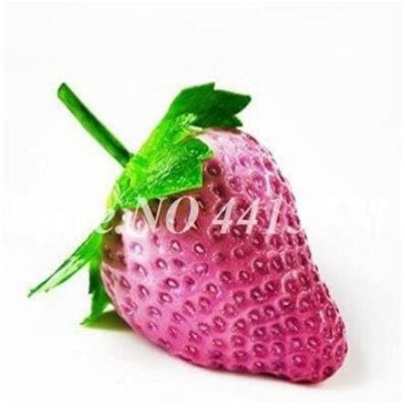 JMS 300Pcs Pink Strawberry Hybrid Seeds Giant Juicy Potted Fruit