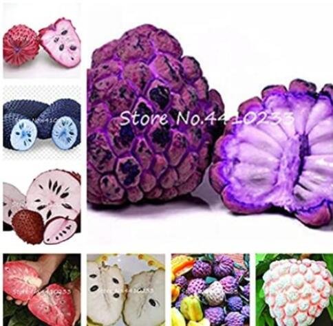 JMS 20Pcs Graviola Annona Muricata Sweetsop Delicious Fruit Seeds - Mixed