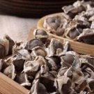 JMS 100Pcs JMS Edible Moringa Semillas Seeds