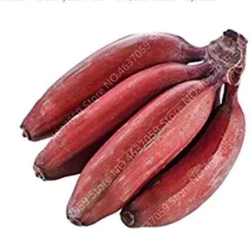 JMS 100Pcs Dwarf Banana Tree Seeds - Red Skin
