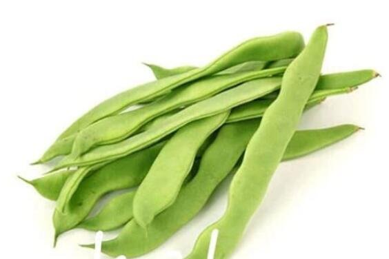 JMS 5Pcs Sword Beans Seeds - Green Color