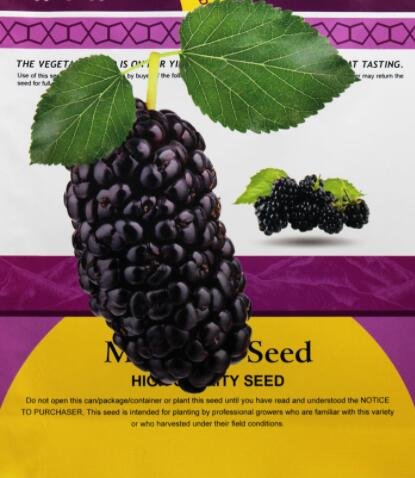 JMS Original Pack 100Pcs Mulberry Seeds Blackish Purple Big Fruit Edible