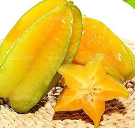 JMS 100Pcs Averrhoa Carambola Seeds