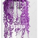 JMS 200Pcs Purple Pearl Chlorophytum Bonsai Seeds