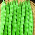 JMS 10Pcs Kidney Bean Seeds Green Bean Vegetables