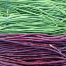 JMS 100Pcs Vigna Sinensis Seeds Yard Long Bean Mixed Red And Green Color